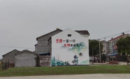 普安新农村墙绘